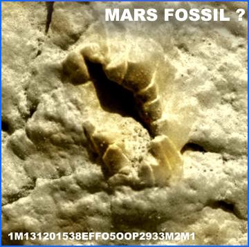 Mars Skull