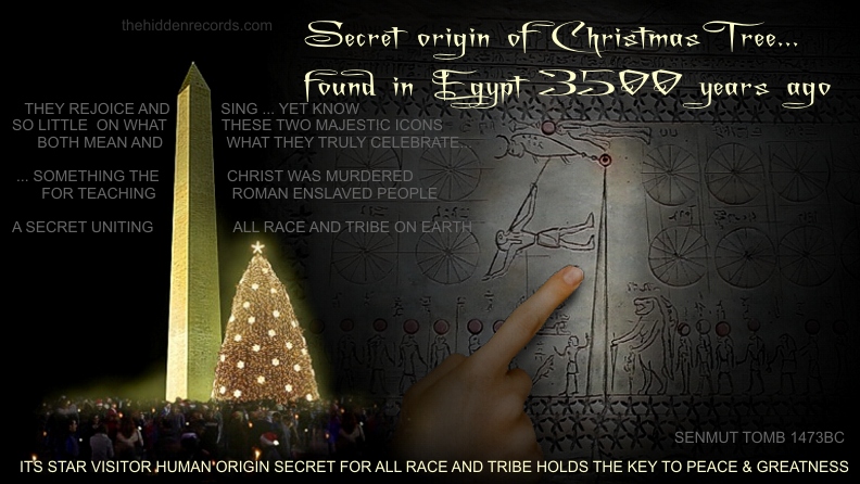 secret of the Christmas tree in Egypt