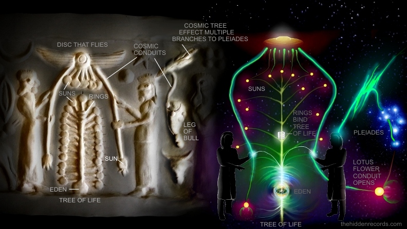 Sumerian Seal Wayne Herschel theory